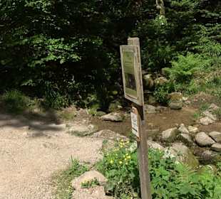 Wasserfälle Allerheiligen