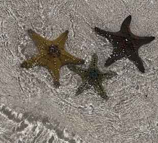 Tourguides Nabil & Klaus Mohamed