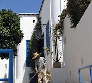 Szara rzeczywistość