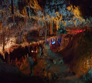 Drachenhöhlen in Porto Cristo