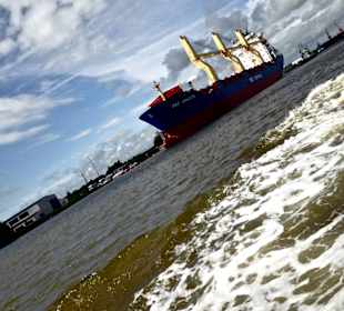 Emder Hafen aus Entenperspektive