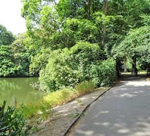 Rundgang durch den Hofgarten Düsseldorf