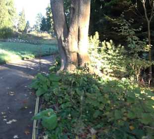 Botanischer Garten