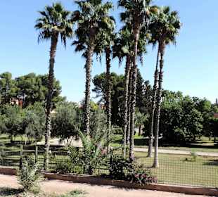 Wycieczka autobusem turystycznym po Marrakeszu