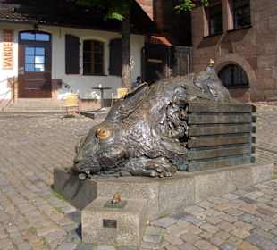 Hase von Albrecht Dürer