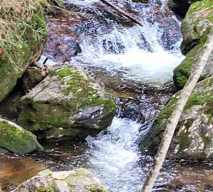 Wandern Drachselsried