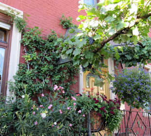 Bogen am Eingang zu Pargen