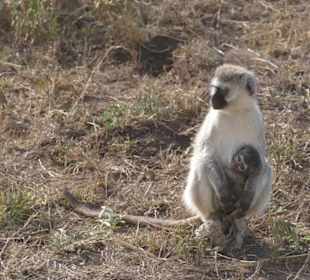 Tansania Ende September