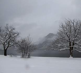 Blick auf den Königssee