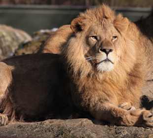 Ist Max nicht schön