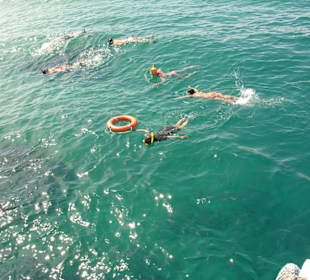 Snurkowanie wokół statku