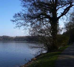 Schlußblick Baldeneysee