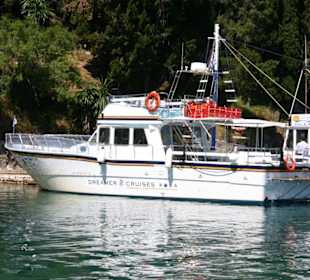 Captain Gerorges Dreamer Cruiser