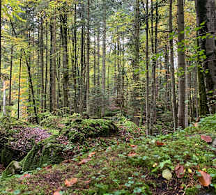 Wandern Blausee-Mitholz