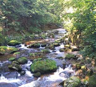 Bach kommend vom Wasserfall