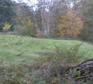 Schaukel auf den Knaupwiesen