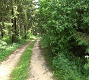 Premiumwanderweg "hochgehackert"