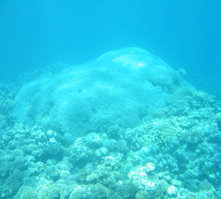 Tauchen/U-Bootsfahrt 