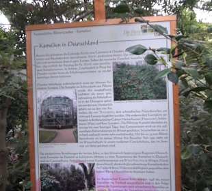 Flora und Botanischer Garten