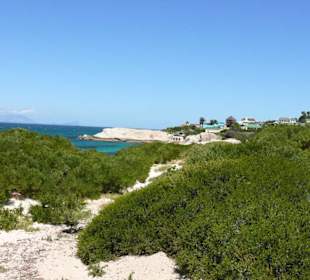 Boulders Beach - False Bay