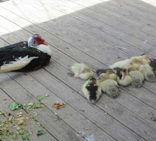 Eindrücke vom Hafen und seinen Bewohnern