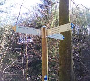 Wanderweg Sagenhafter Waldpfad Landstuhl