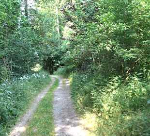 Rundwanderung Klingenbachtal - Sulzbachsee