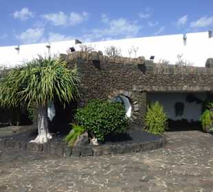 Jameos del Agua