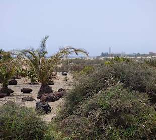 Aussichtspunkt an den Dünen