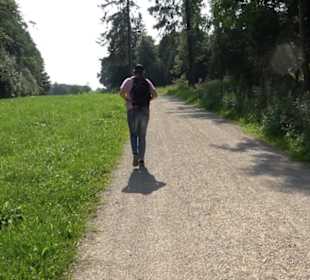 Waldlehrpfad St. Johann