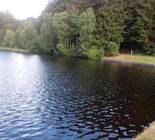 Sägmühlweiher bei Trippstadt, KL, im Pfälzer Wald 