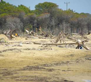 Strand von Bibione 06-2010
