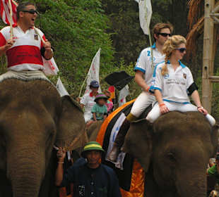 Die Elefanten-Polo-Spieler auf ihrem Einsatzplatz