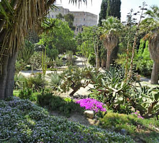 Rundgang durch den Botanischen Garten Cagliari