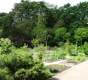 Spaziergang durch den Botanischen Garten Bremen