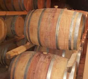 Führung Weinkellerei Boutari