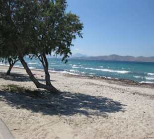 Wildestrand