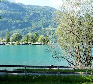 Brienzer See