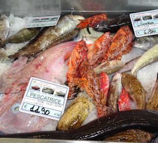 Die Fischverkaufshalle im Hafen von Alghero