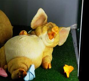 Die musste ich mir Kaufen