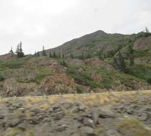 Auf den Weg in Alaskas Natur