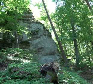Burg Hohenerpfingen Erpfingen