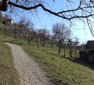 Wanderung Florianrunde