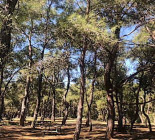 Wandern Evrenseki