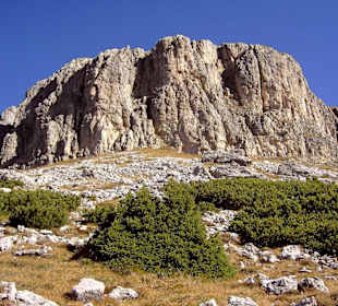 Masarè-Spitze  (2564 m)
