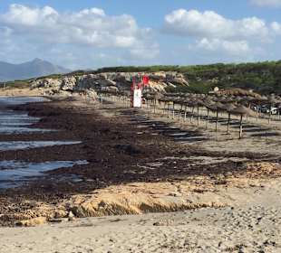 Strand 250 Meter vomHotel Exagon Park