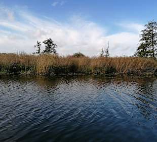Wandern Neetzow-Liepen