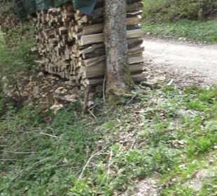 Wanderweg Hochgehswiggert