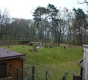 Zwierzęta w zoo