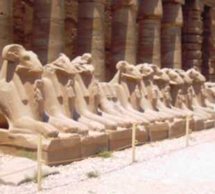 Das Göttliche Abbild des Tut Ench Amuns